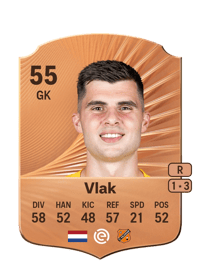 Dion Vlak Rare 55 OVR