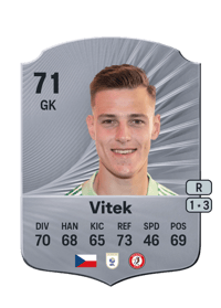 Radek Vitek Rare 71 OVR