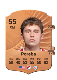 David Poreba Rare 55 OVR