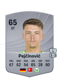 Dženan Pejčinović Common 65 OVR
