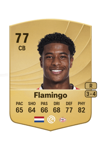 Ryan Flamingo Common 77 OVR