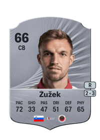 Žan Žužek Rare 66 OVR
