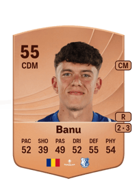 Luca Banu Common 55 OVR
