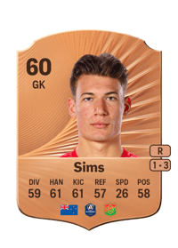 Kees Sims Rare 60 OVR