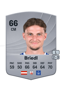 Alexander Briedl Common 66 OVR