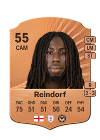 Michael Reindorf Rare 55 OVR