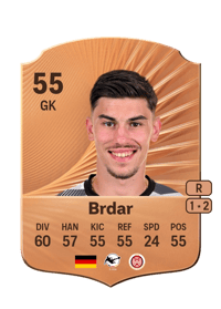 Noah Brdar Rare 55 OVR