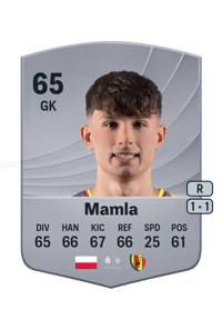 Rafał Mamla Common 65 OVR
