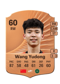 Wang Yudong Rare 60 OVR