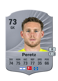 Daniel Peretz Rare 73 OVR