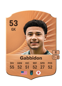 Kyle Gabbidon Rare 53 OVR