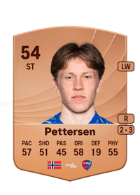 Storm Bugge Pettersen Common 54 OVR
