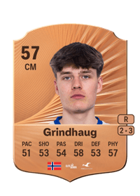 Almar Gjerd Grindhaug Rare 57 OVR