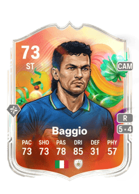 Roberto Baggio World Tour Silver Stars 73 OVR