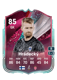 Lukáš Hrádecký Festival of Football: Captains 85 OVR