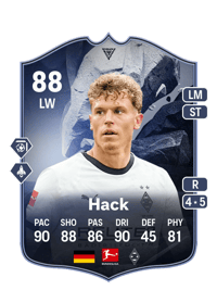 Robin Hack Special Item 88 OVR