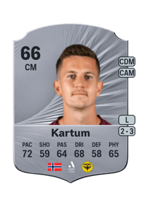 Sander Erik Kartum Rare 66 OVR
