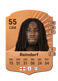 Michael Reindorf Rare 55 OVR