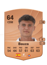 Bauza Common 64 OVR
