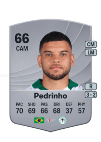 Pedrinho Common 66 OVR