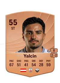 Erkin Yalcin Common 55 OVR