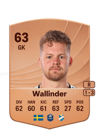 Robin Wallinder Common 63 OVR
