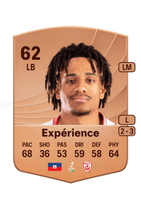 Martin Expérience Common 62 OVR