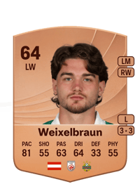 Dominik Weixelbraun Common 64 OVR