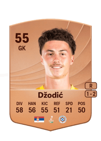 Viktor Džodić Common 55 OVR