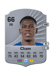 Fallou Cham Rare 66 OVR