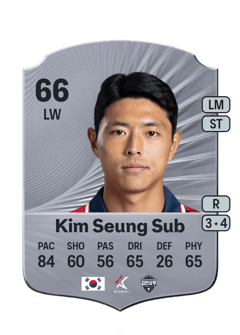 Kim Seung Sub 66 EA FC