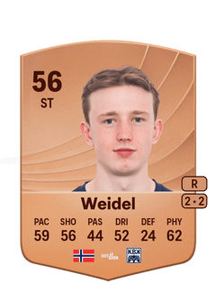 Marius Weidel 56 EA FC