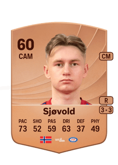Stian Sjøvold 60 EA FC