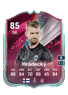 Lukáš Hrádecký 85 EA FC