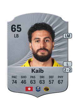 Rami Kaib 65 EA FC