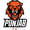 Punjab FC