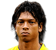 GUARÍN