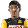 RIVAS