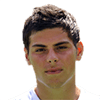 VOLLAND