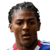 van Aanholt