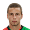 Bajrovic