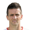 Ibišević