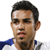 Figueiredo