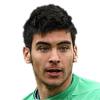 Gazzaniga