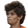 Dodô