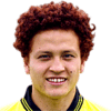 Amini