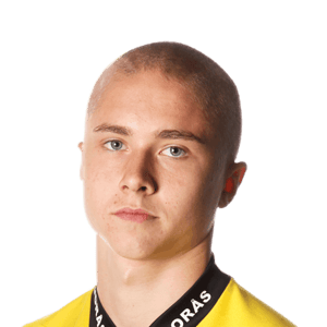 HEDLUND