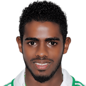 AL SAWADI