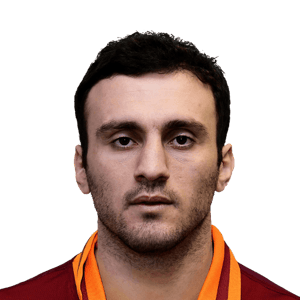 TOROSIDIS