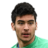 Gazzaniga